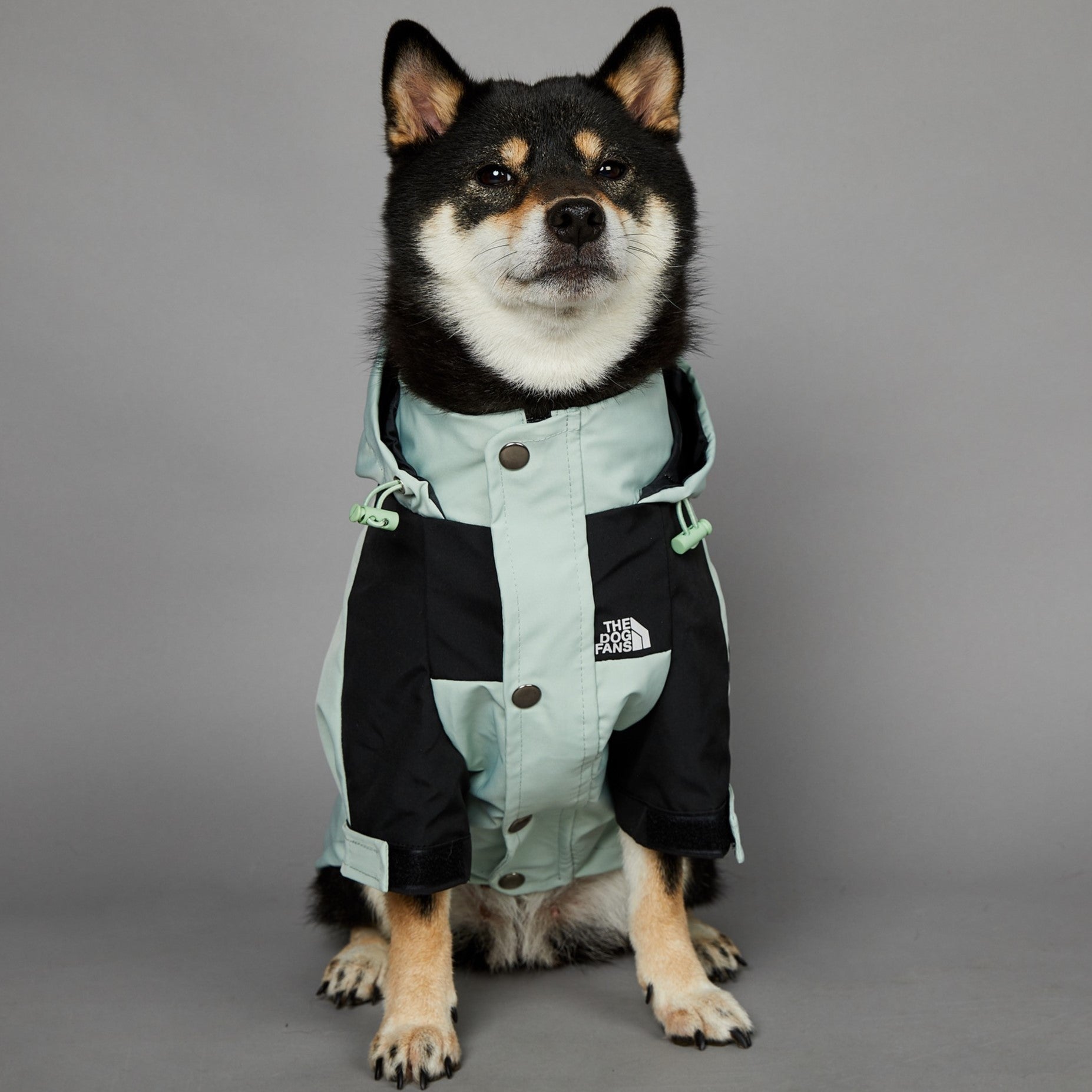 The Dog Fans Regenjacke in hellgrün
